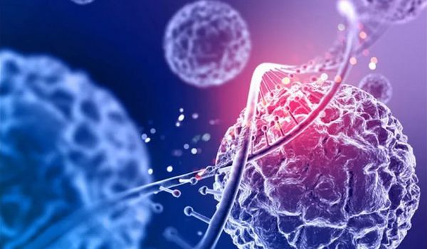 Décodage Biologique